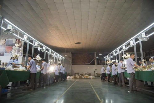 光影新境，幸福為燈 艾摩燈3.0極簡輕奢展廳與大師設(shè)計的共鳴